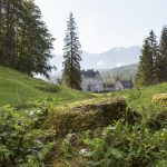 WALDBADEN ALS WOHLTAT