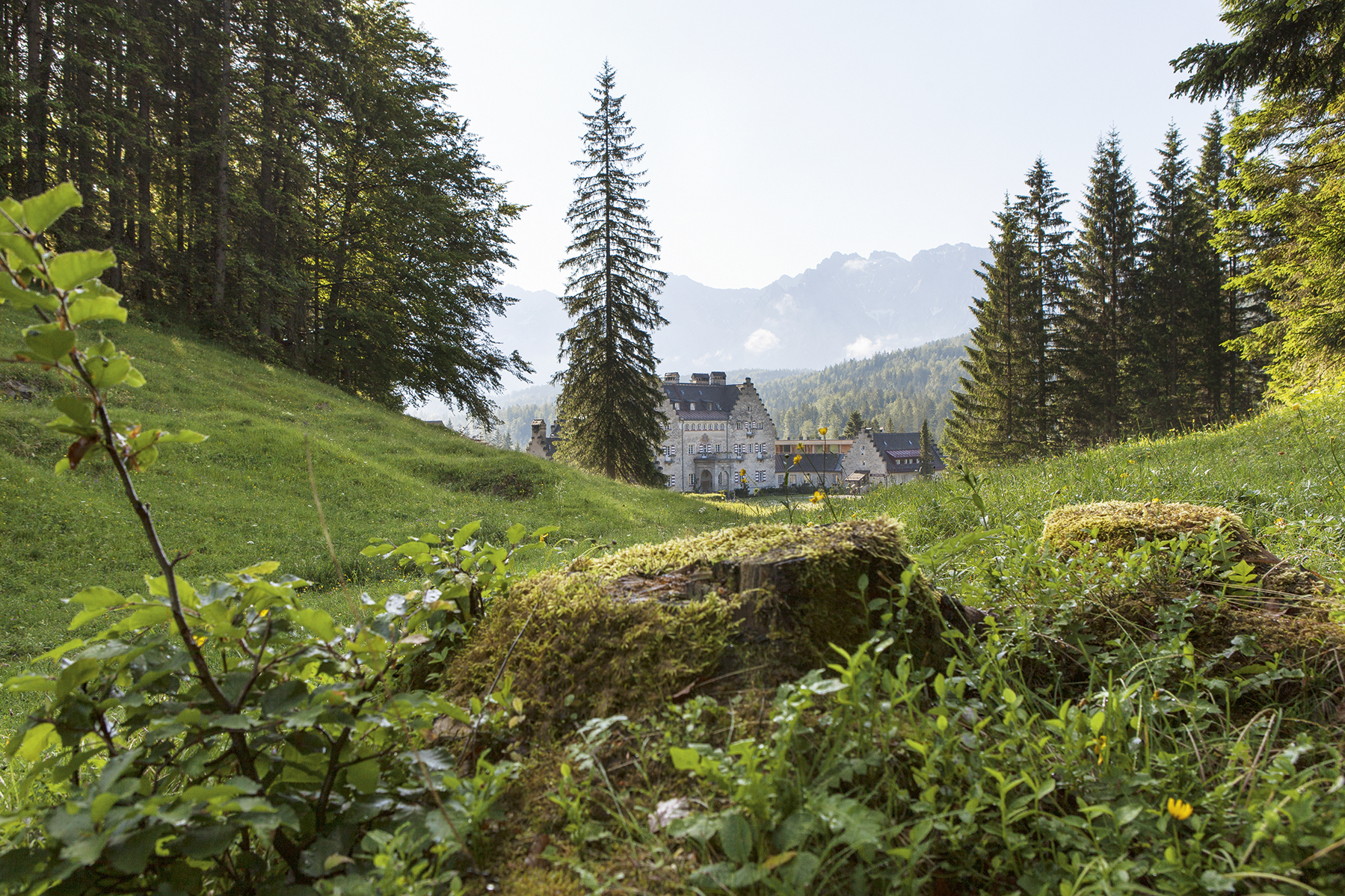 WALDBADEN ALS WOHLTAT