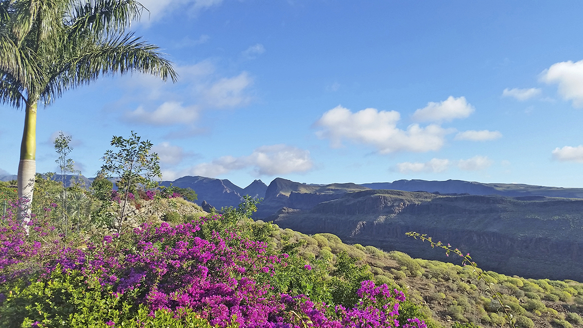 CASA LEÓN ROYAL RETREAT GRAN CANARIA